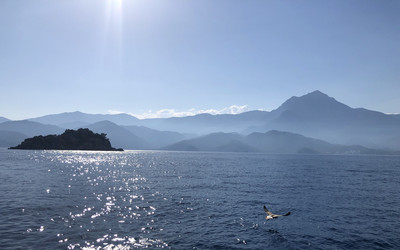 Similar image 21656293