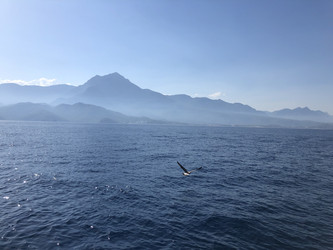 Similar image 21656294