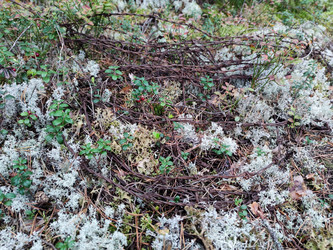 Similar image 21647102