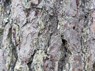 Similar image 21647103