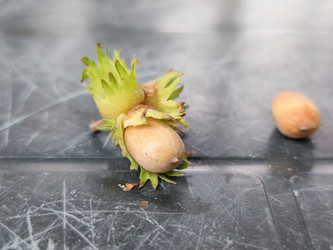 Similar image 21647355