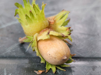 Similar image 21647356