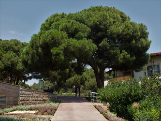 Similar image 21654270