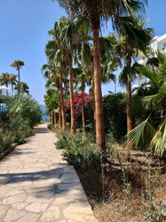 Similar image 21647363