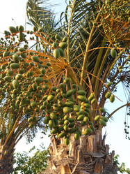 Similar image 21647365