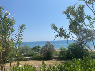 Similar image 21655751