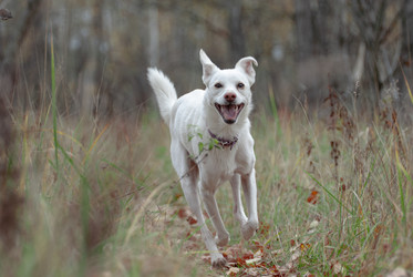 Similar image 21647367