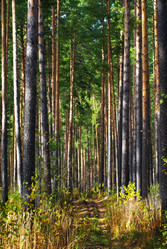 Similar image 21647368