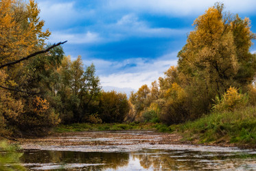 Similar image 21647369