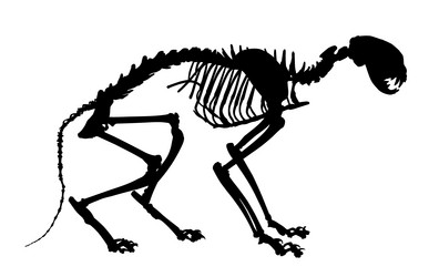 Similar image 21648435