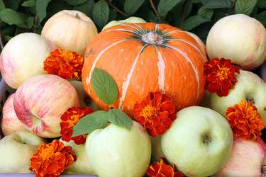 Similar image 21647051