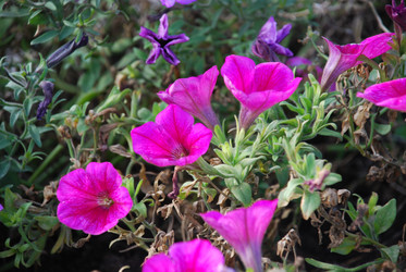 Similar image 21647370