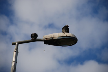 Similar image 21647371