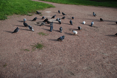 Similar image 21647372