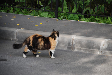 Similar image 21647373