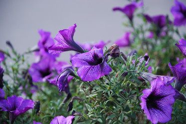 Similar image 21647375