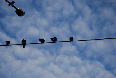 Similar image 21647376