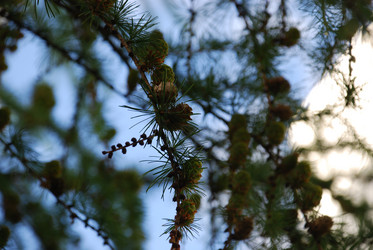 Similar image 21647377