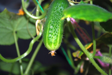 Similar image 21647378