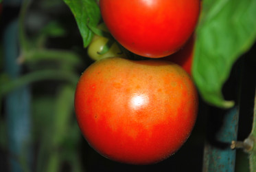 Similar image 21647381