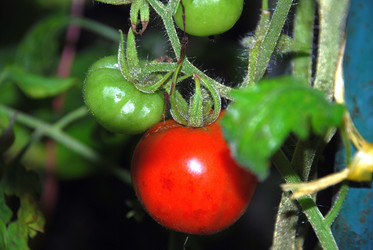 Similar image 21647382