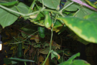 Similar image 21647385