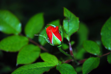 Similar image 21647386