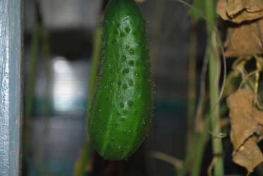 Similar image 21647387