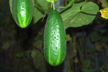 Similar image 21647388