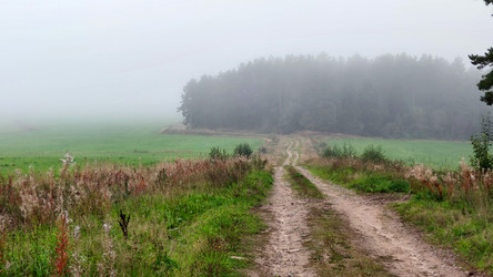 Similar image 21647389