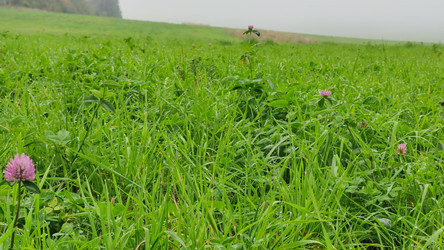 Similar image 21647390