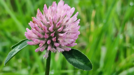 Similar image 21647391