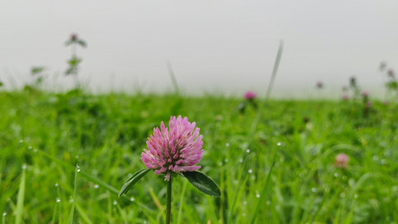 Similar image 21647392