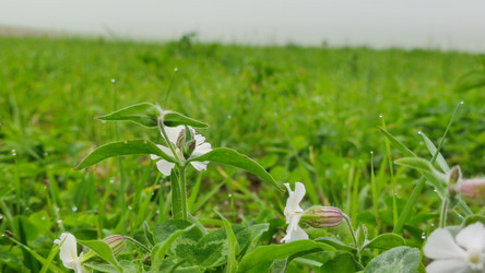 Similar image 21647393