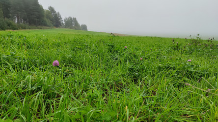 Similar image 21647394