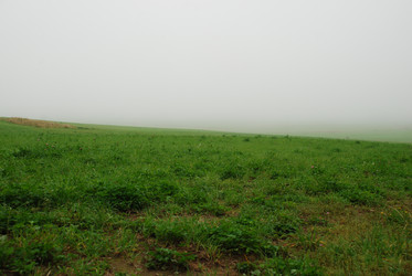 Similar image 21647403