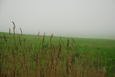 Similar image 21647404