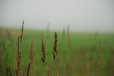 Similar image 21647406