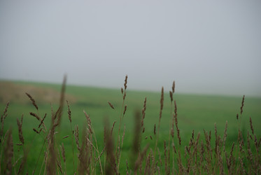 Similar image 21647407