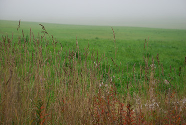 Similar image 21647408