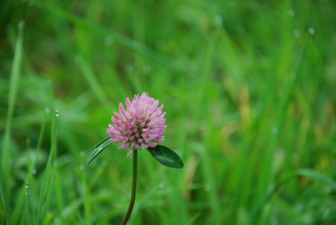 Similar image 21647410