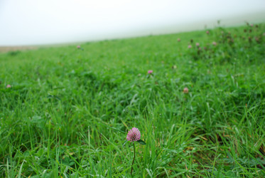 Similar image 21647411