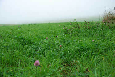 Similar image 21647412