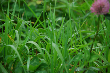 Similar image 21647413