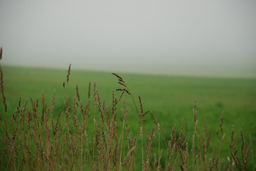 Similar image 21647417