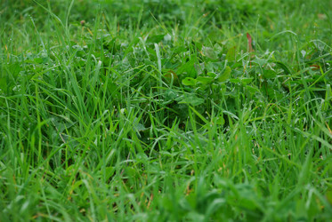 Similar image 21647419