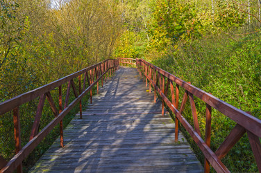 Similar image 21647031