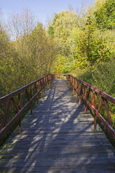 Similar image 21647032