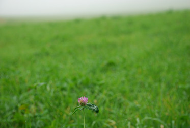 Similar image 21647420