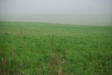 Similar image 21647422